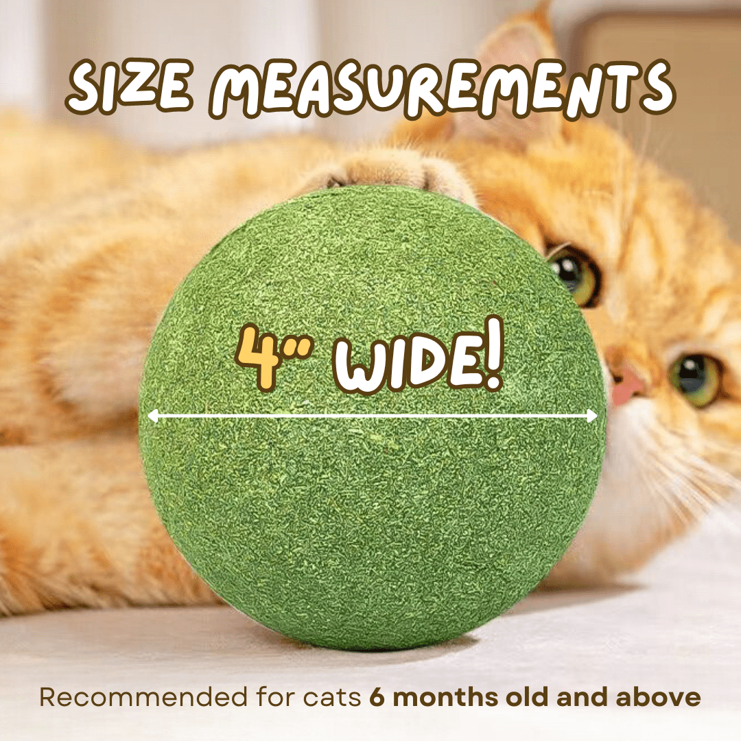 Jumbo Catnip Ball - MaoMao - Paws