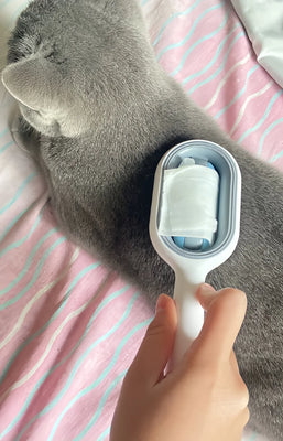 My Cat Actually Begs for the Sticky Brush 2.0!