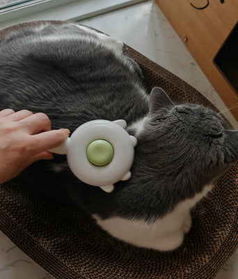 Soft & Effective—My Cats Come Running for It!
