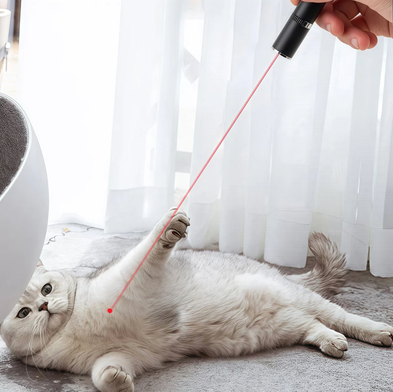 Ear Mites in Cats? They Show Up in One Shine!