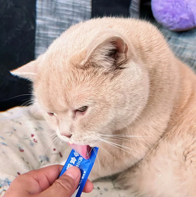 Finally—a Fish Oil Treat My Picky Cat Eats!