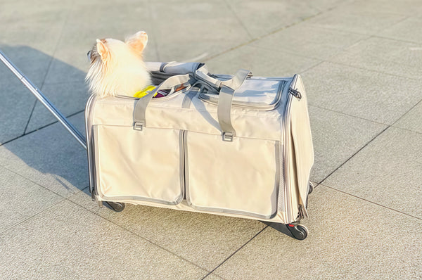 Sturdy, Cozy, and Cat-Approved!