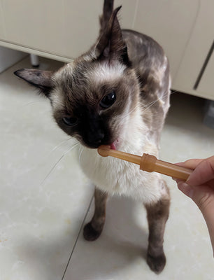 Makes Toothbrushing Less of a Battle