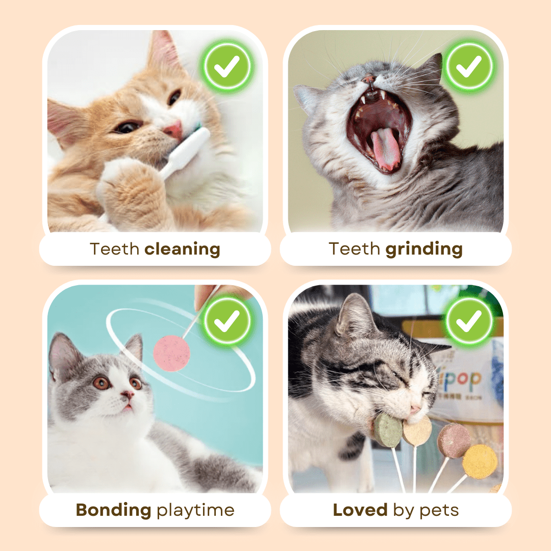 Lollipop Cat Treat (25 pcs) - MaoMao - Paws