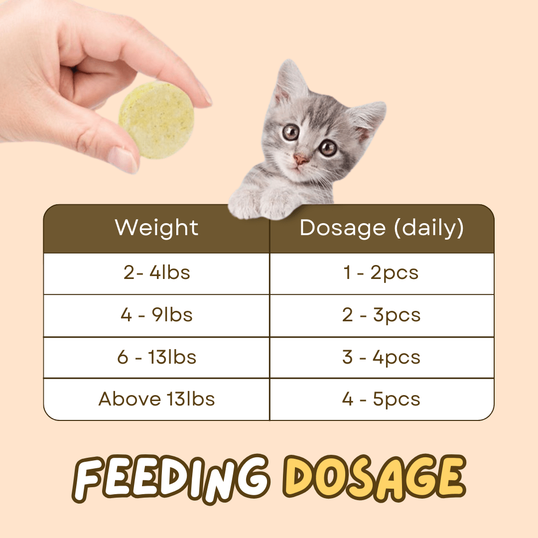 Lollipop Cat Treat (25 pcs) - MaoMao - Paws