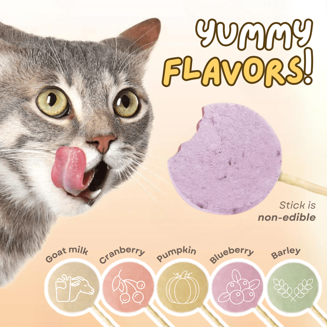 Lollipop Cat Treat (25 pcs) - MaoMao - Paws