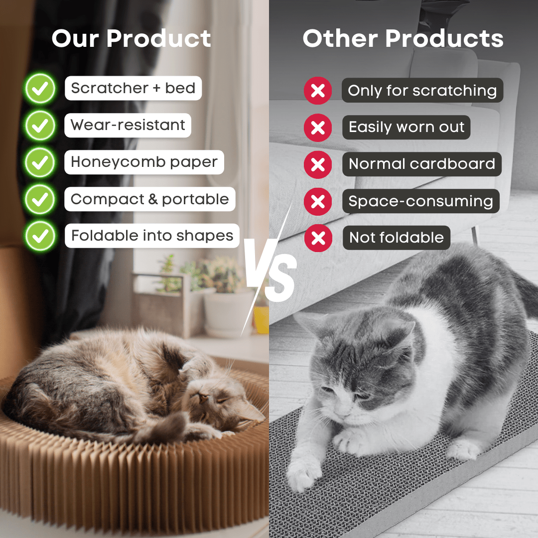 Magical Scratcher Bed - MaoMao - Paws