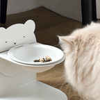 Magnetic Ceramic Bowl - MaoMao - Paws