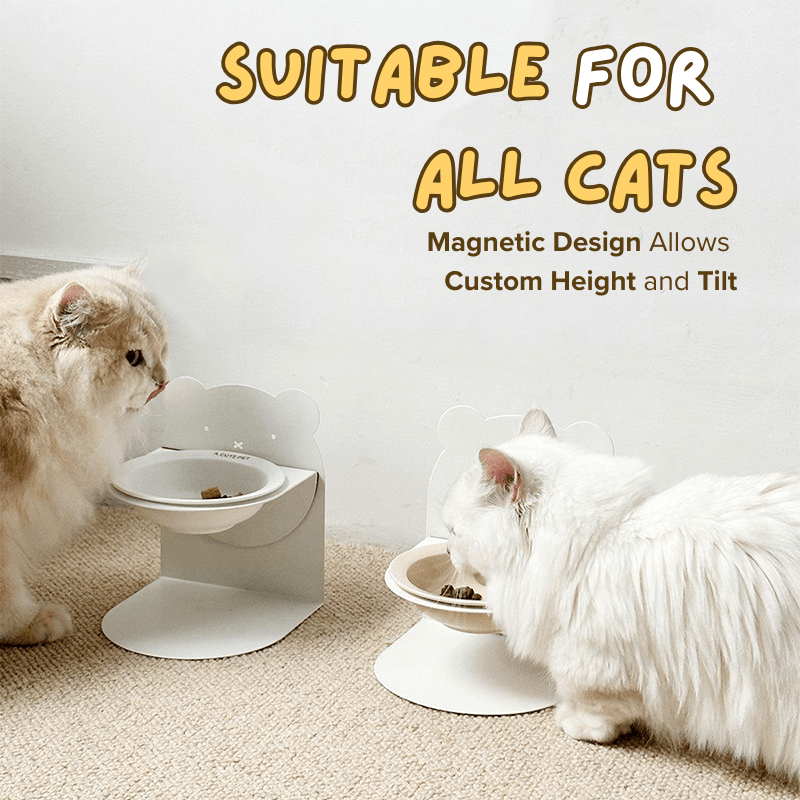 Magnetic Ceramic Bowl - MaoMao - Paws