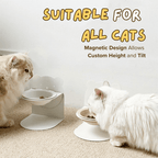 Magnetic Ceramic Bowl - MaoMao - Paws