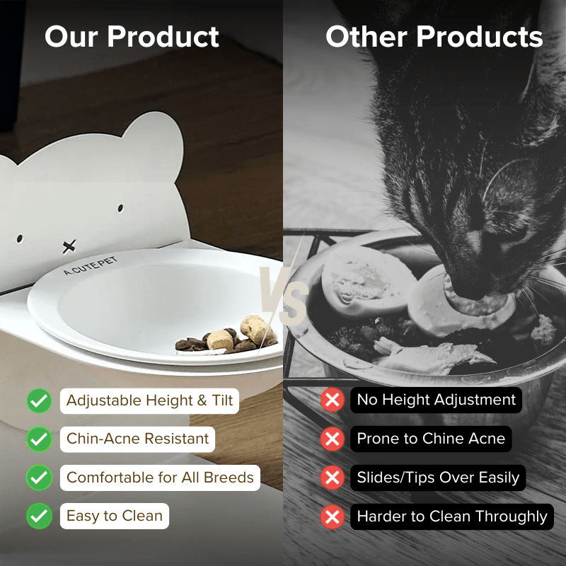 Magnetic Ceramic Bowl - MaoMao - Paws