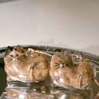 Mini Cat Capsule - MaoMao - Paws