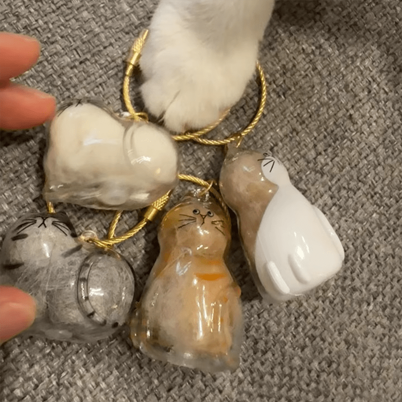 Mini Cat Capsule - MaoMao - Paws