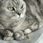 Mini Cat Capsule - MaoMao - Paws
