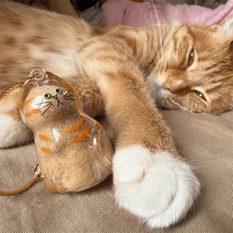Mini Cat Capsule - MaoMao - Paws