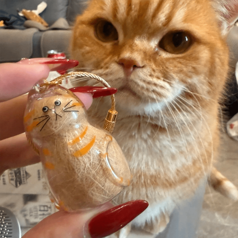 Mini Cat Capsule - MaoMao - Paws