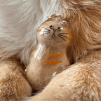 Mini Cat Capsule - MaoMao - Paws