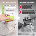 Misty Brush - MaoMao - Paws