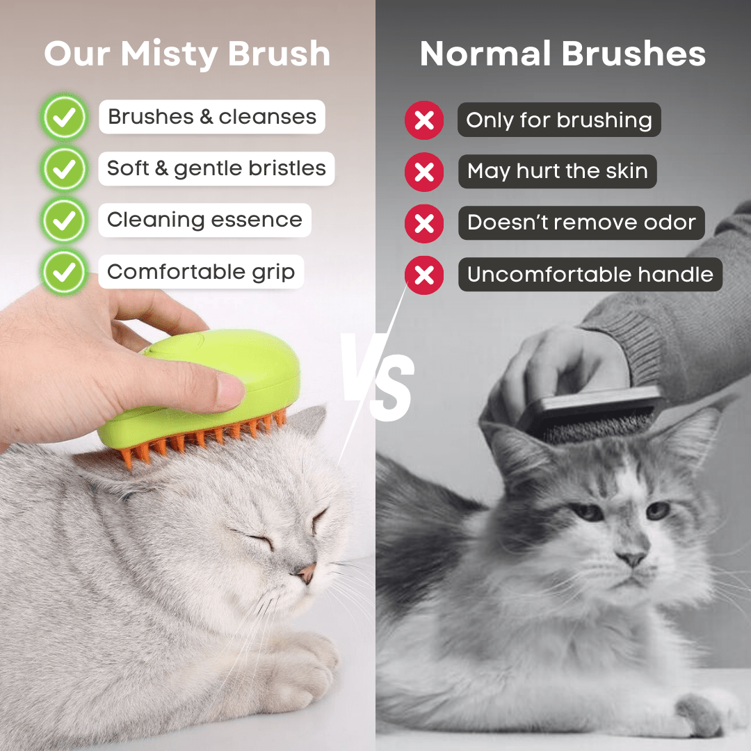 Misty Brush - MaoMao - Paws