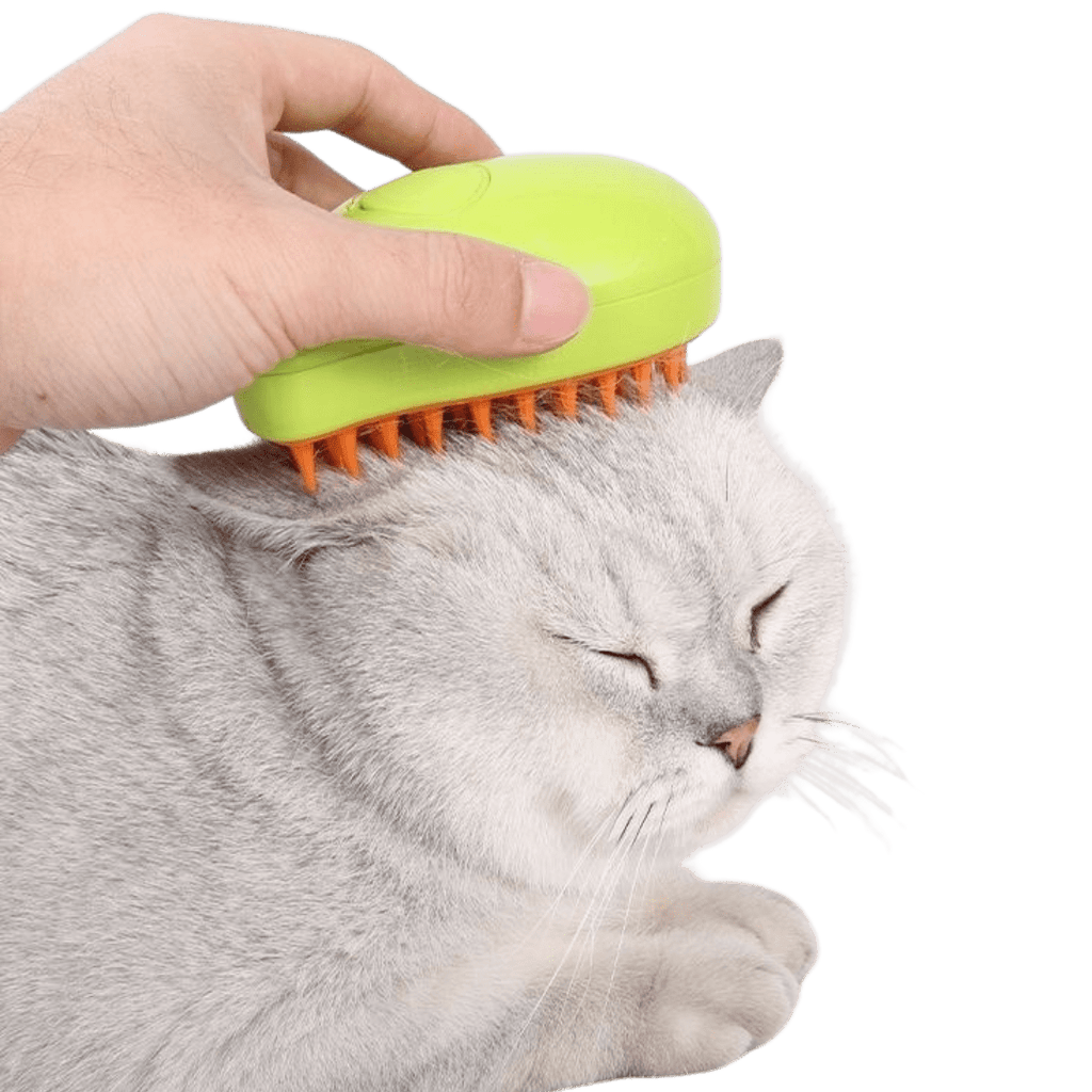 Misty Brush - MaoMao - Paws