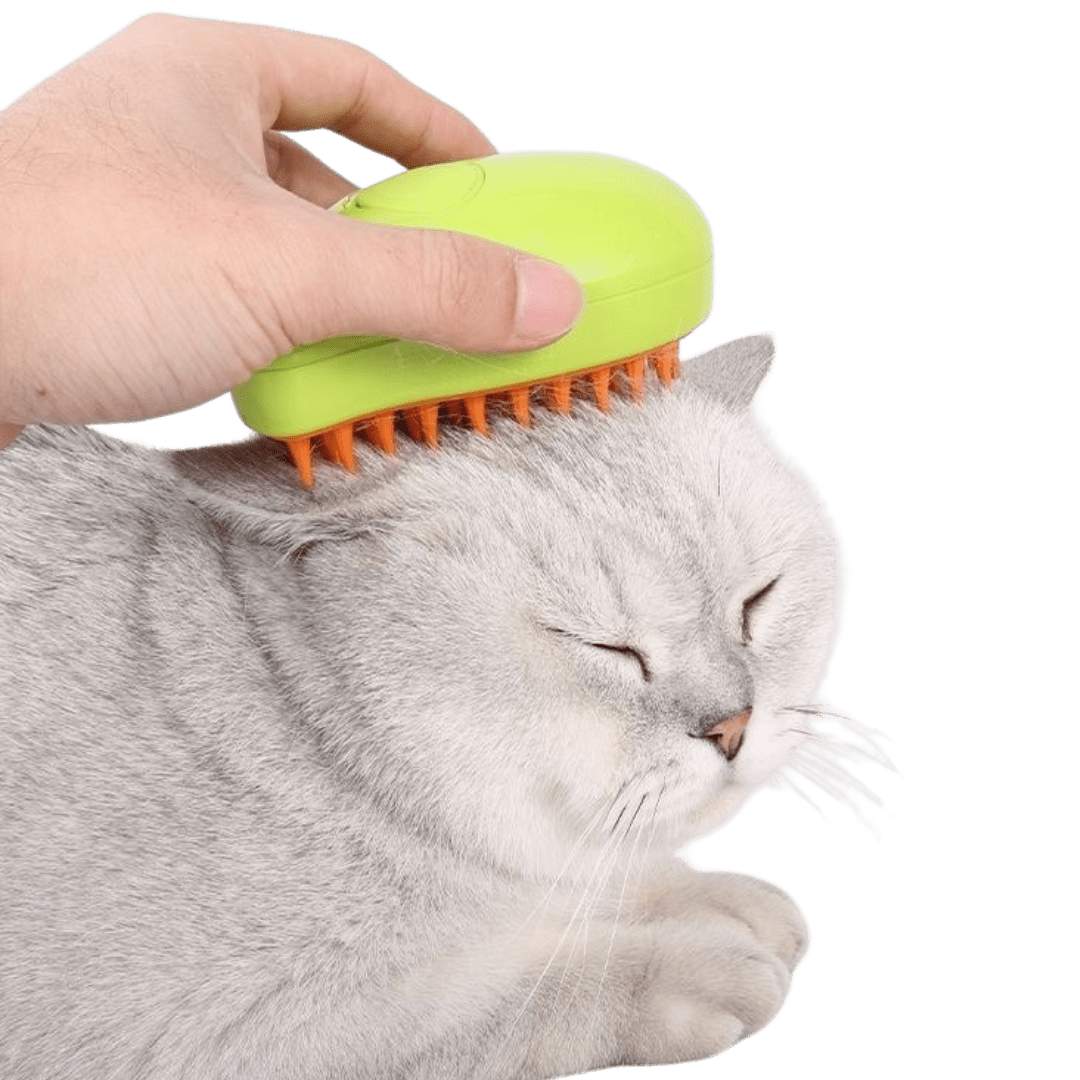 Misty Brush - MaoMao - Paws