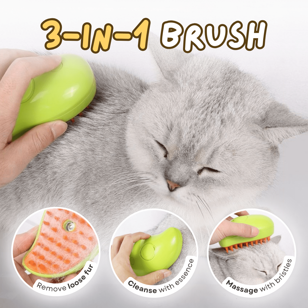 Misty Brush - MaoMao - Paws