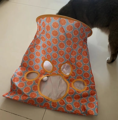 Finally a Toy That Keeps Him Busy!