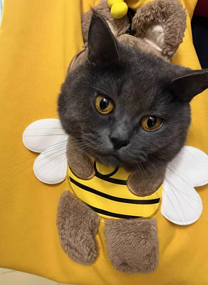 Bee-Themed Bag My Cat Actually Loves!