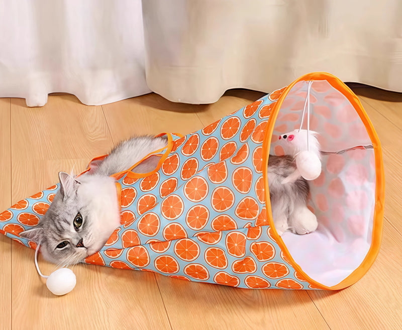 This tunnel actually cured my cat's destructive habits!