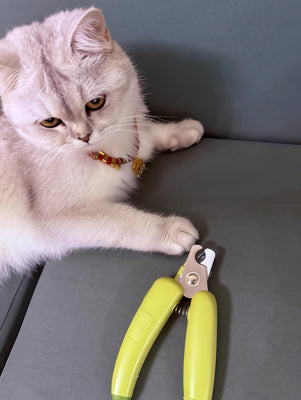 Safe, Sharp, and So Easy to Use!