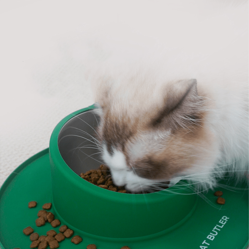 Non - slip Bowl - MaoMao - Paws