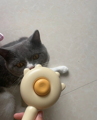 Perfect for Sensitive Kittens—They Purr Nonstop!