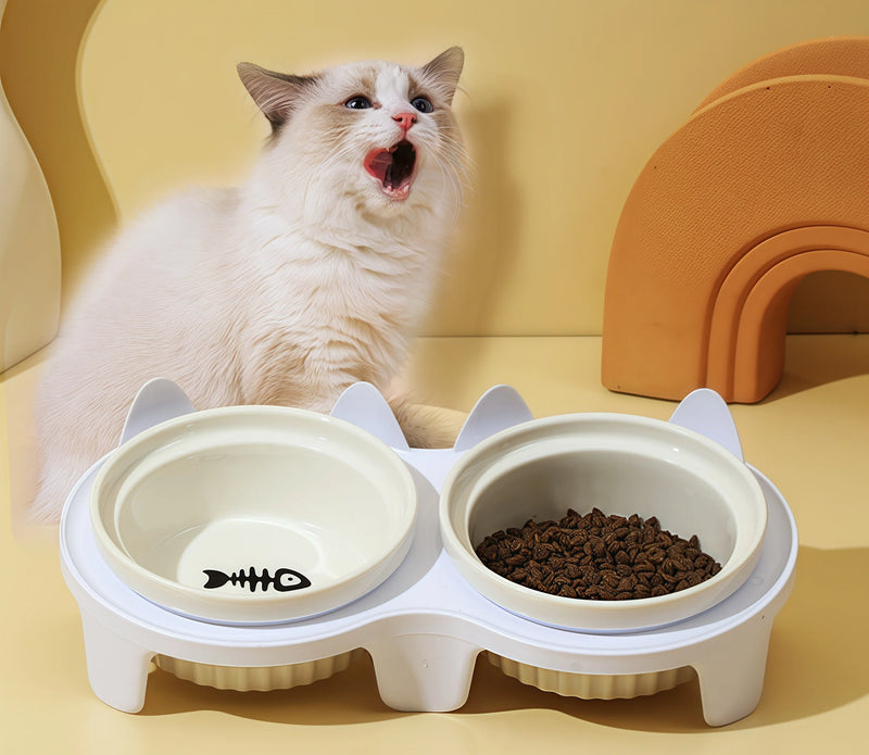 Cats no longer strain their necks to eat!