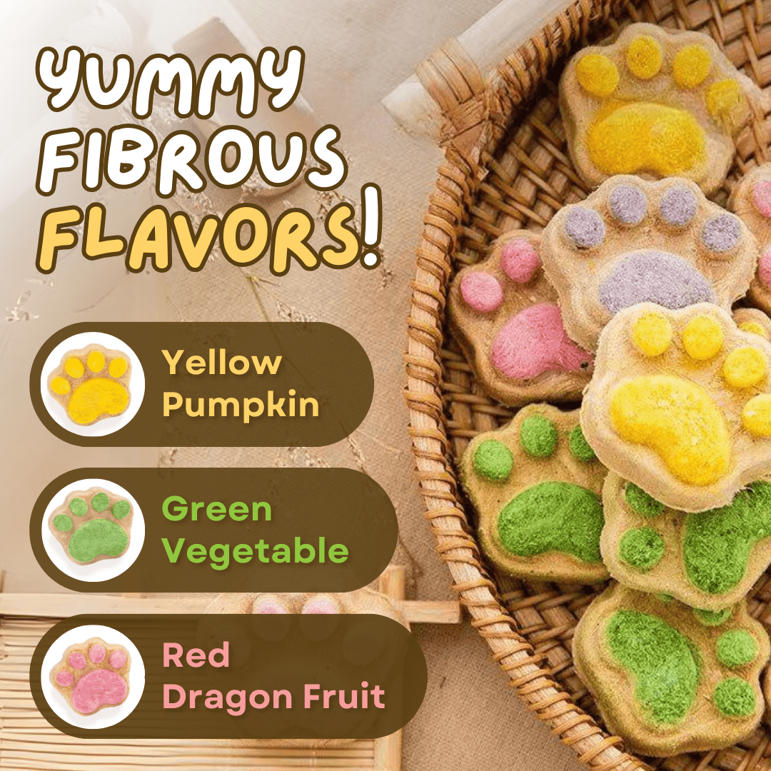 Paw Cat Treats (5 PCS) - MaoMao - Paws