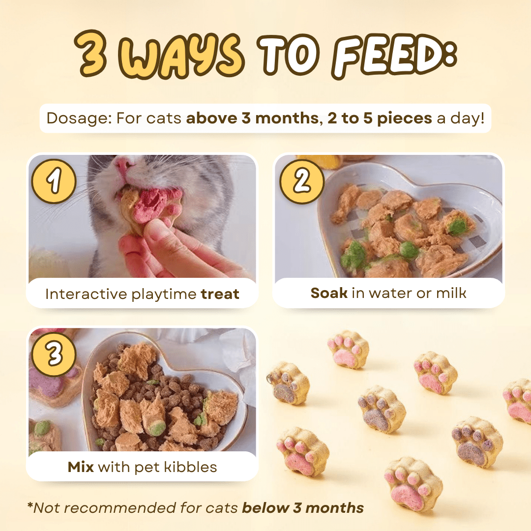 Paw Cat Treats (5 PCS) - MaoMao - Paws