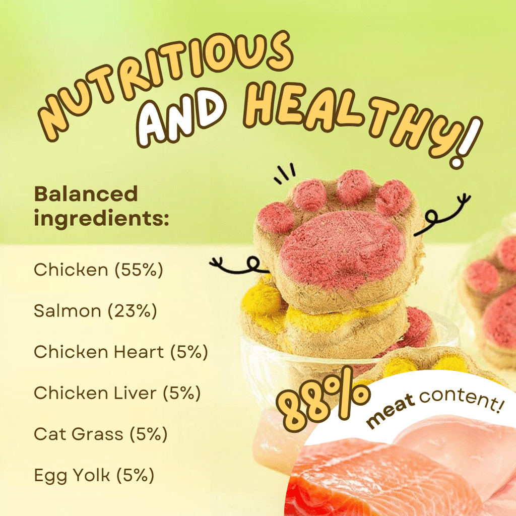 Paw Cat Treats (5 PCS) - MaoMao - Paws
