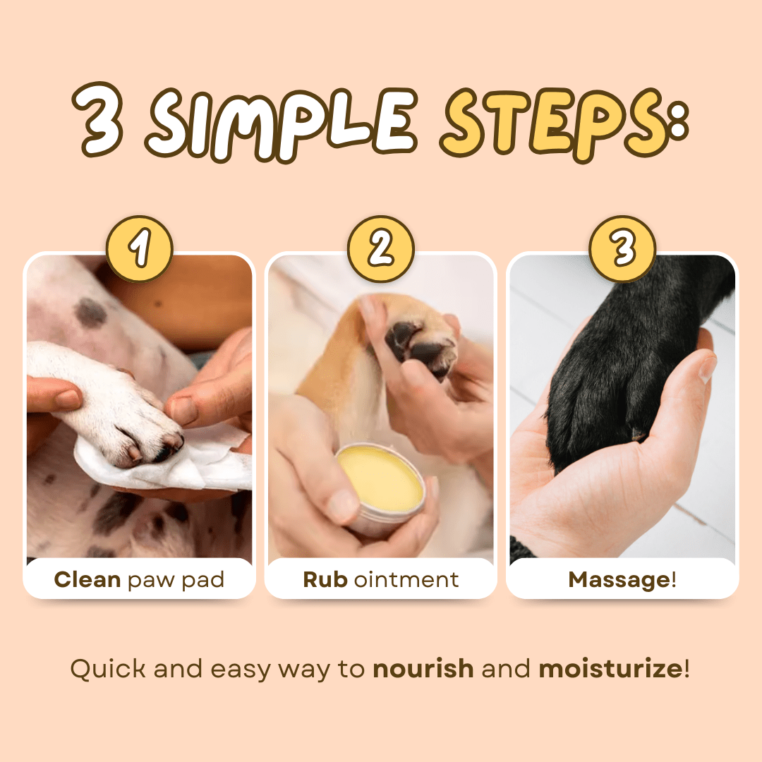 Paw Ointment - MaoMao - Paws
