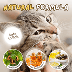 Paw Ointment Stick - MaoMao - Paws
