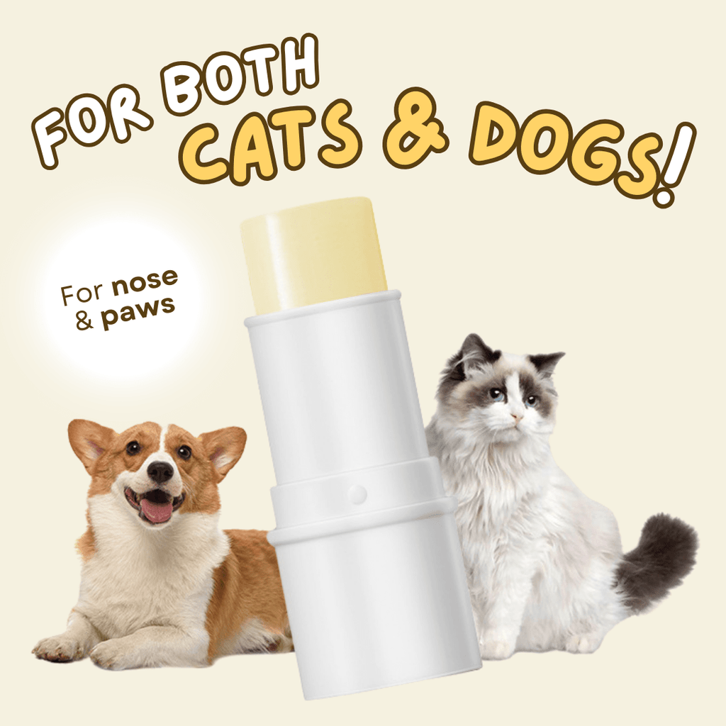 Paw Ointment Stick - MaoMao - Paws