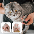 Paw Ointment Stick - MaoMao - Paws