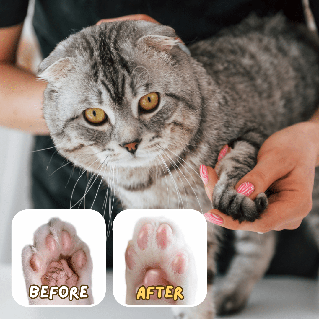 Paw Ointment Stick - MaoMao - Paws