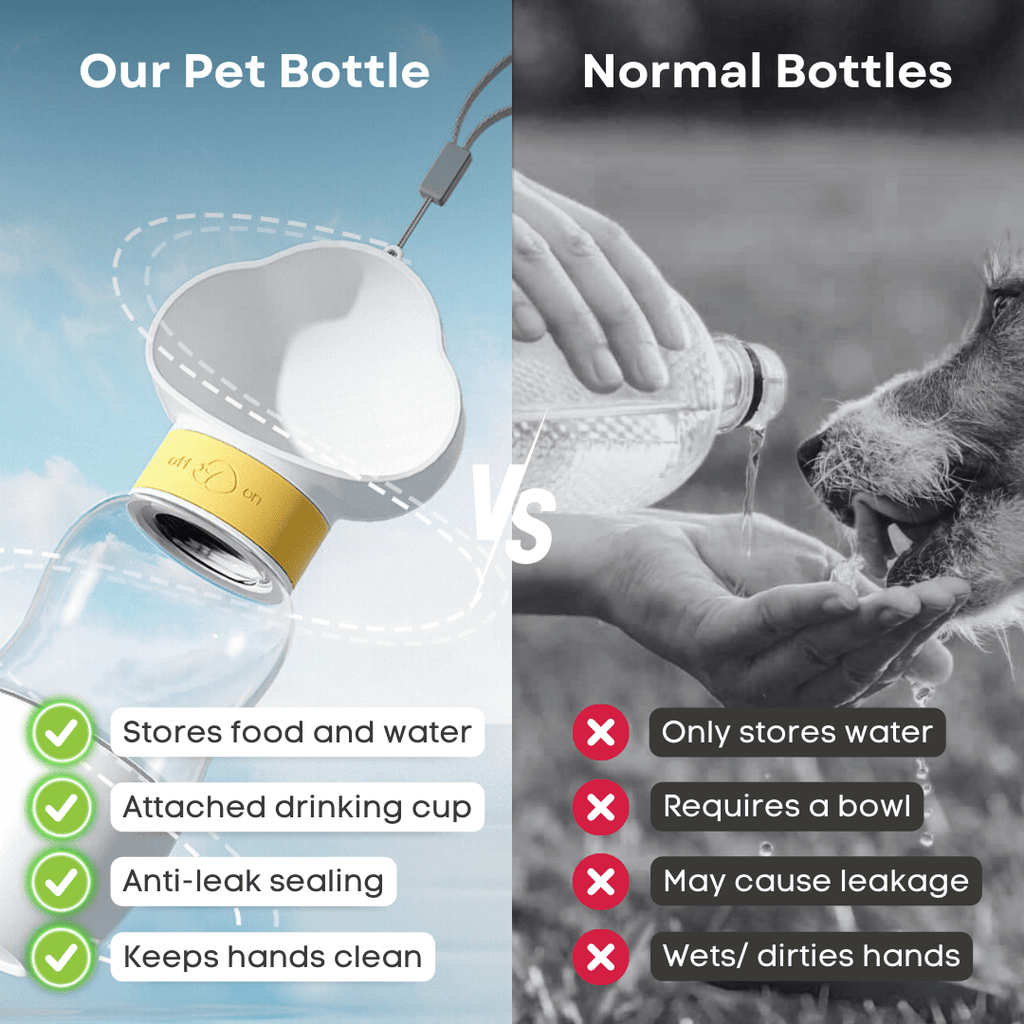 Pet Bottle - MaoMao - Paws