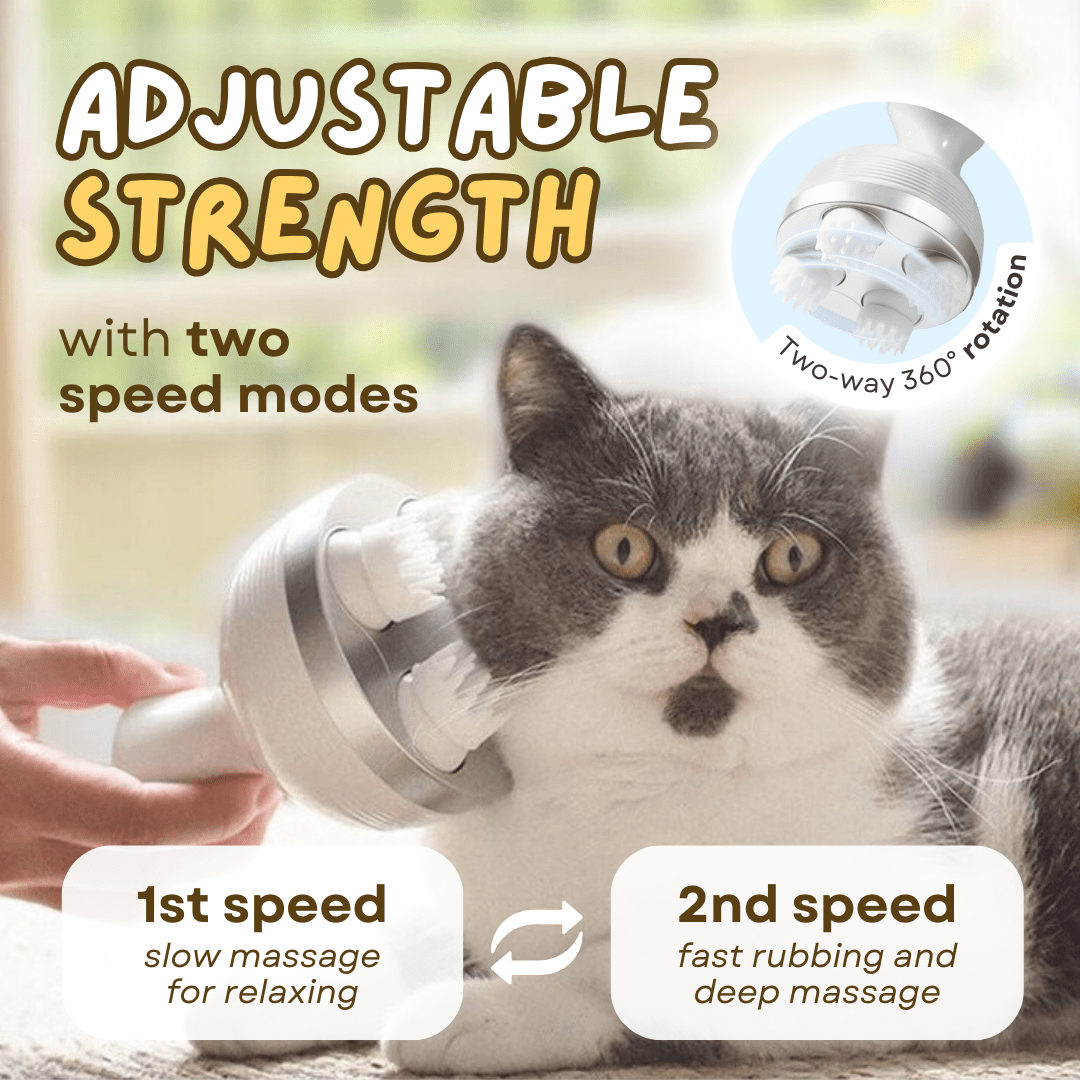 Pet Massager - MaoMao - Paws