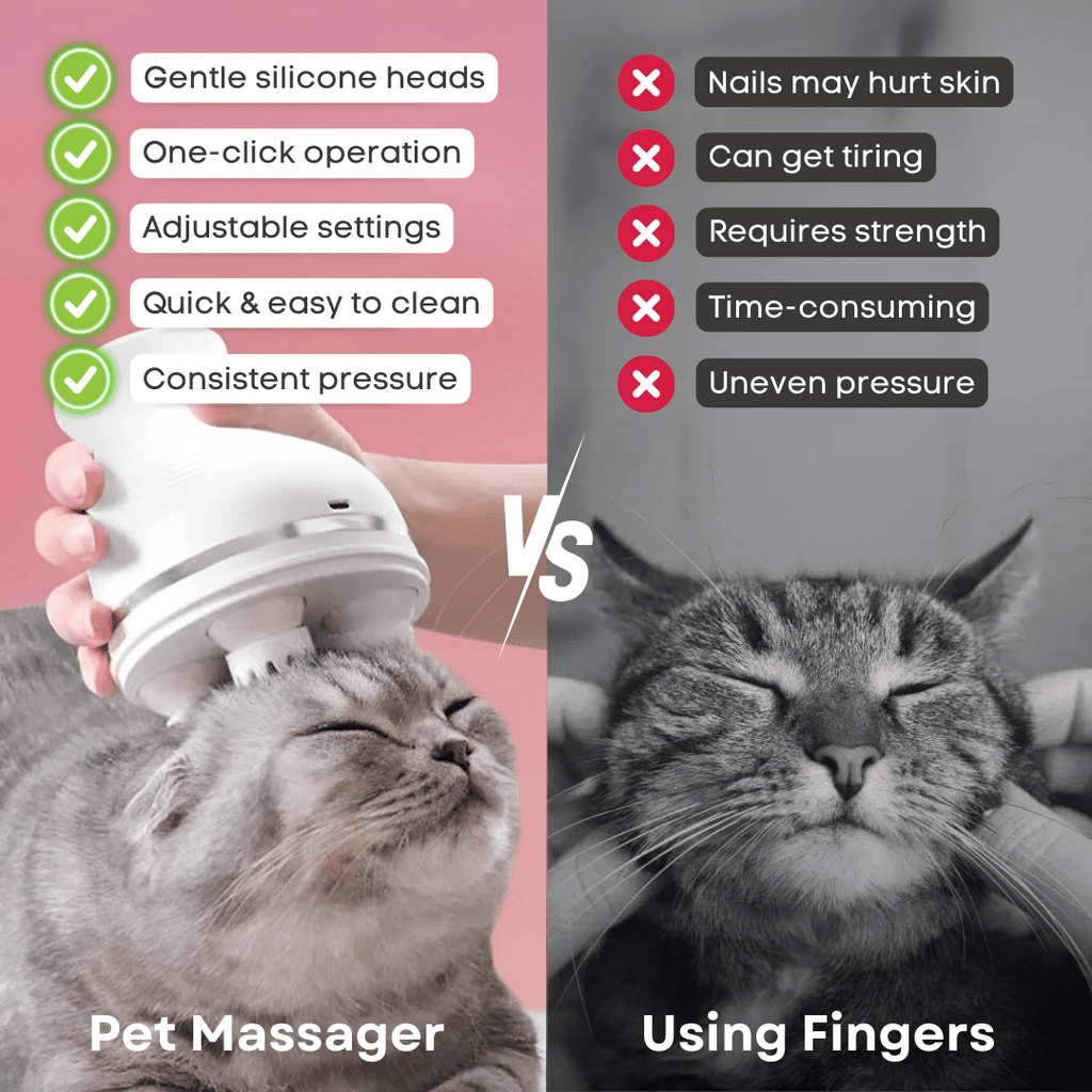 Pet Massager - MaoMao - Paws