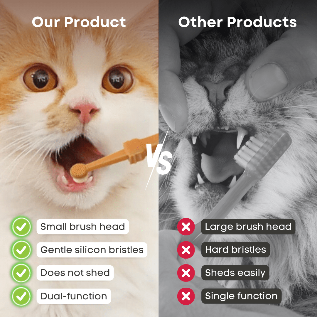Pet Toothbrush - MaoMao - Paws