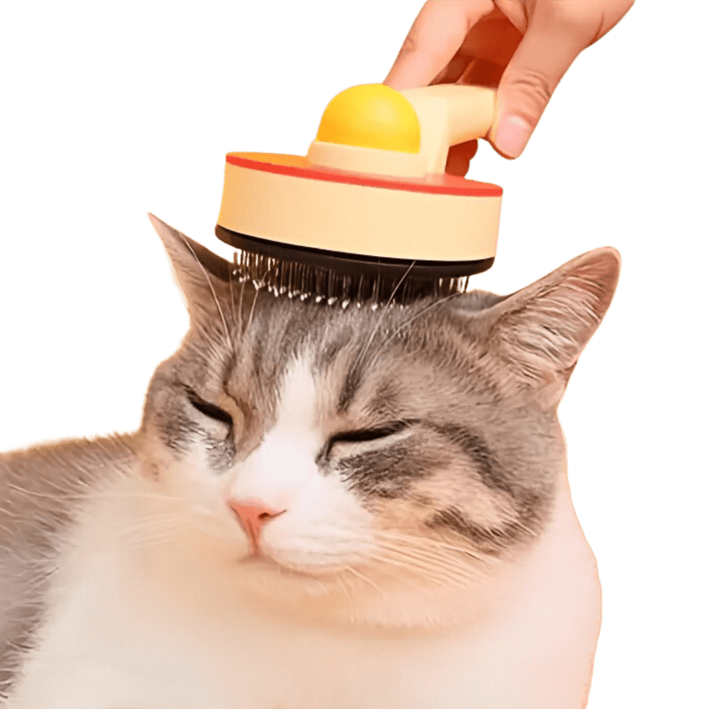 Ping Pong Brush - MaoMao - Paws