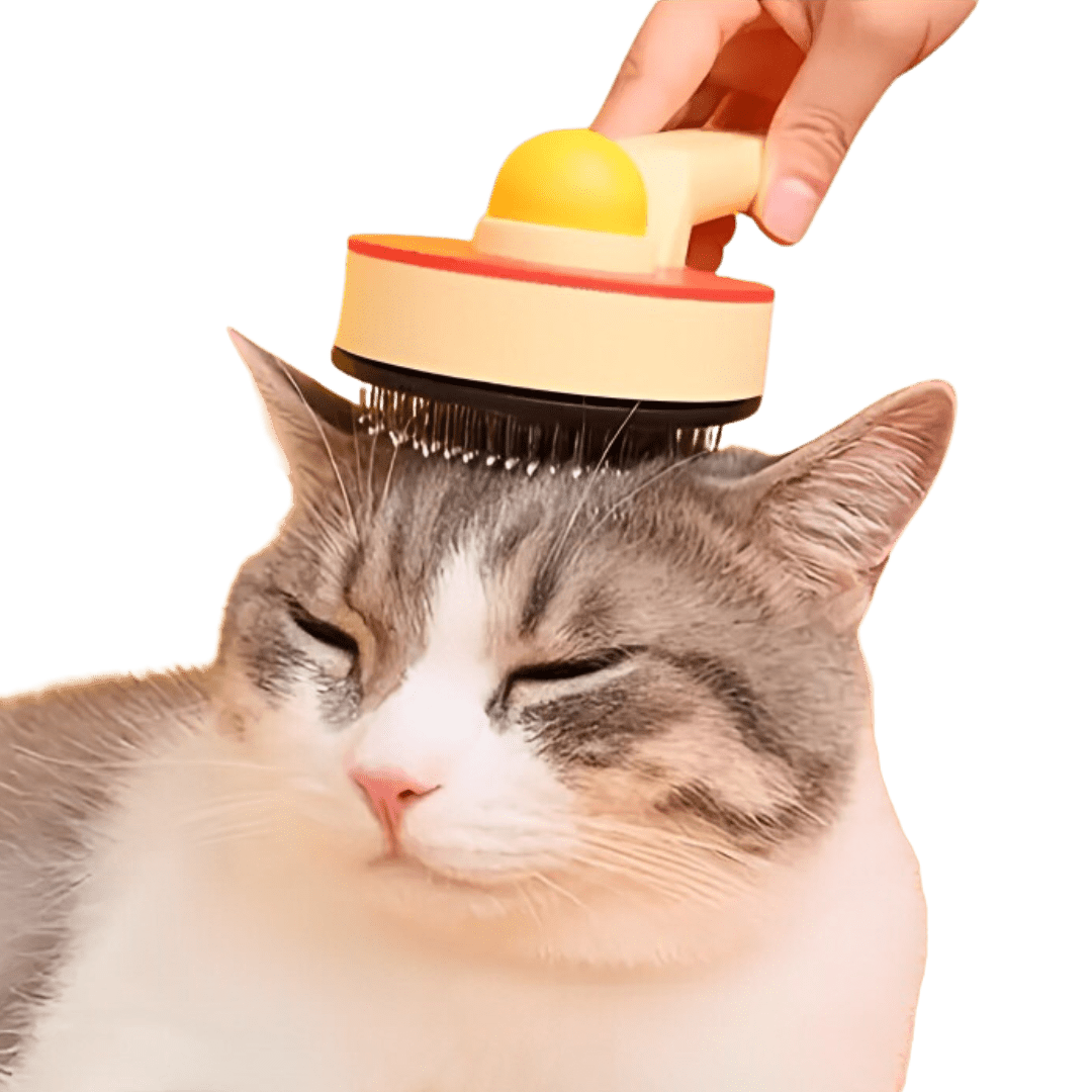 Ping Pong Brush - MaoMao - Paws