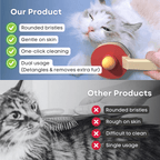 Ping Pong Brush - MaoMao - Paws