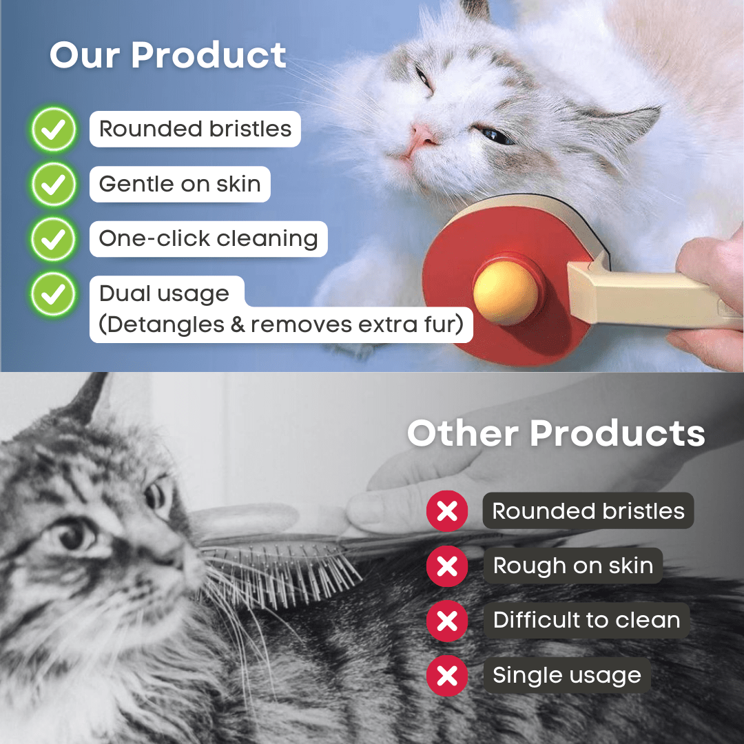 Ping Pong Brush - MaoMao - Paws