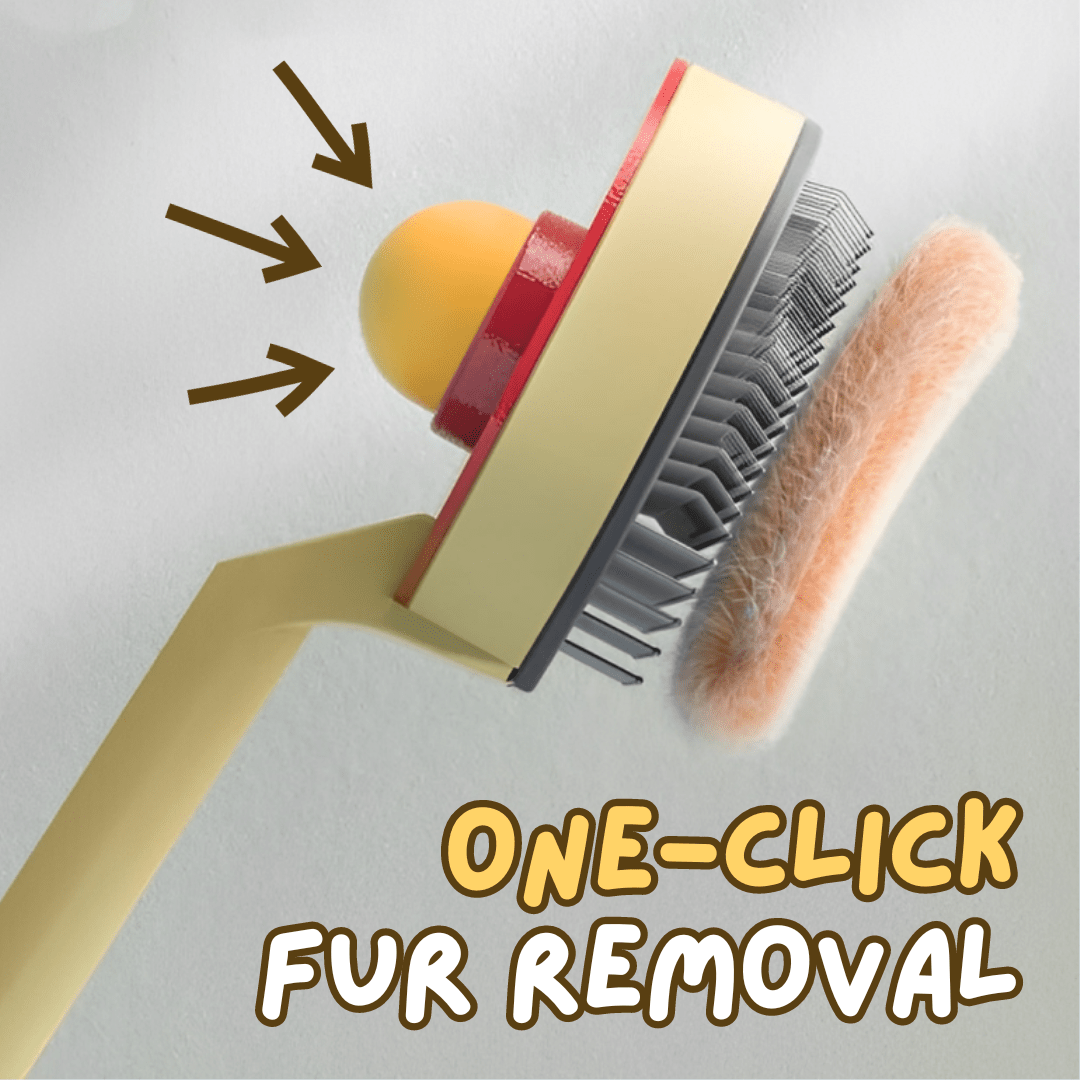 Ping Pong Brush - MaoMao - Paws